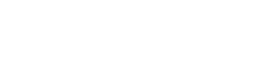 Digital Economy Council of Australia