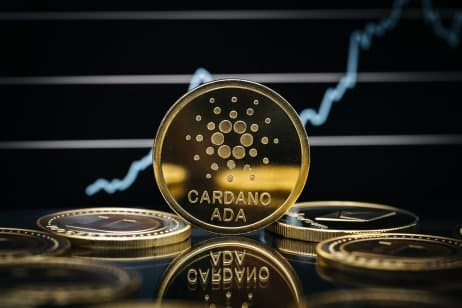 Beginner's Guide to Cardano (ADA) Crypto Loans